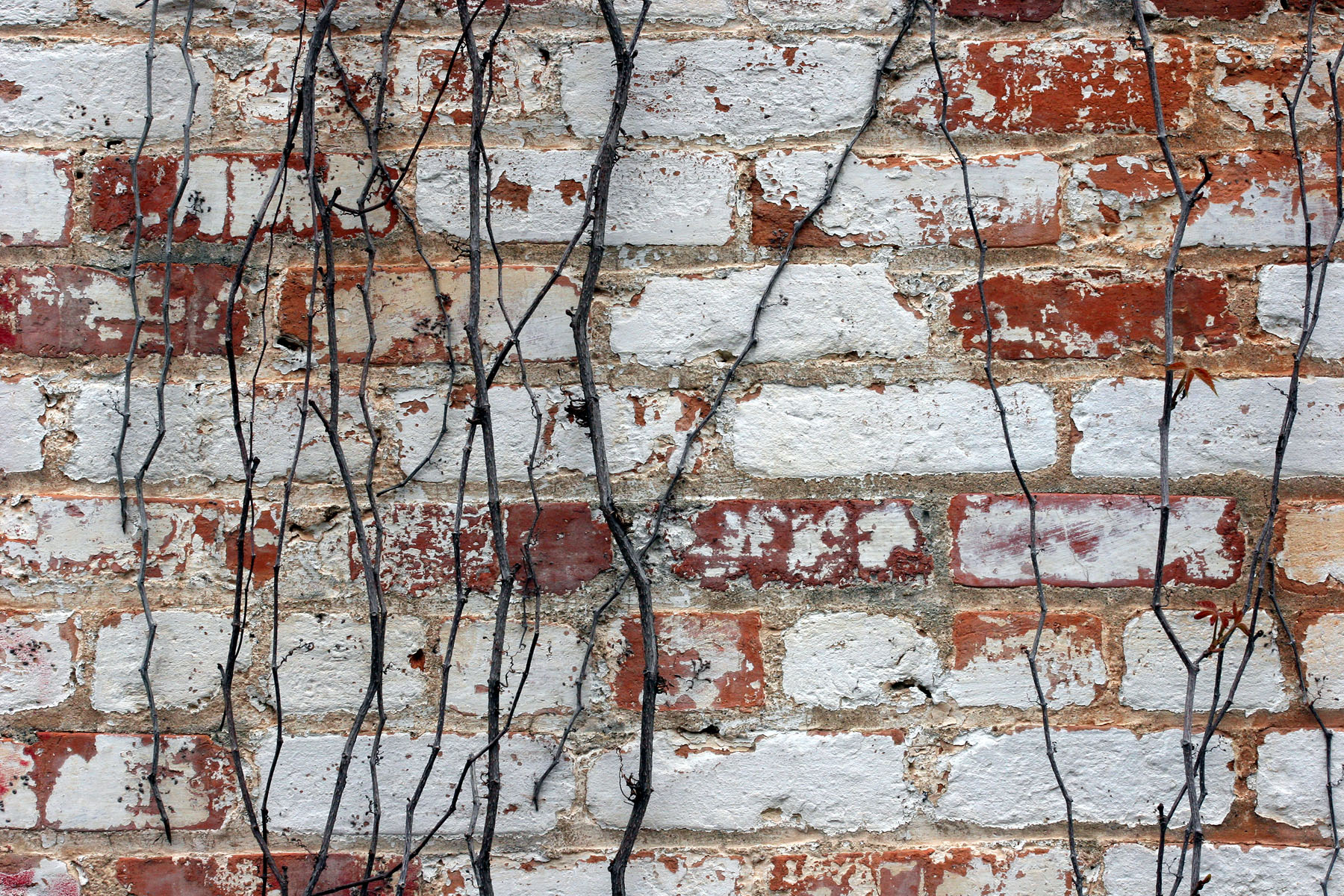 Brick wall texture photo