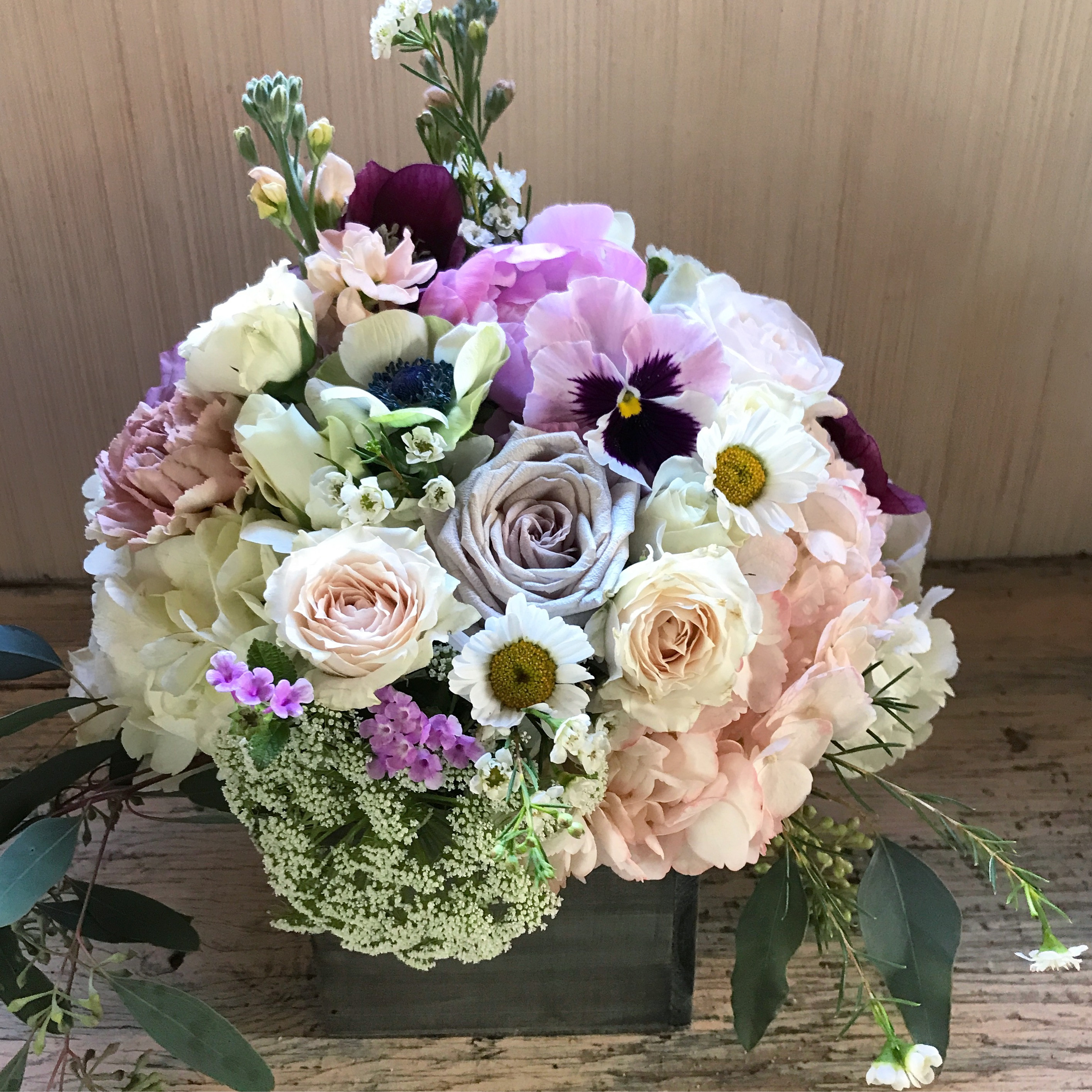 Spring flower photo