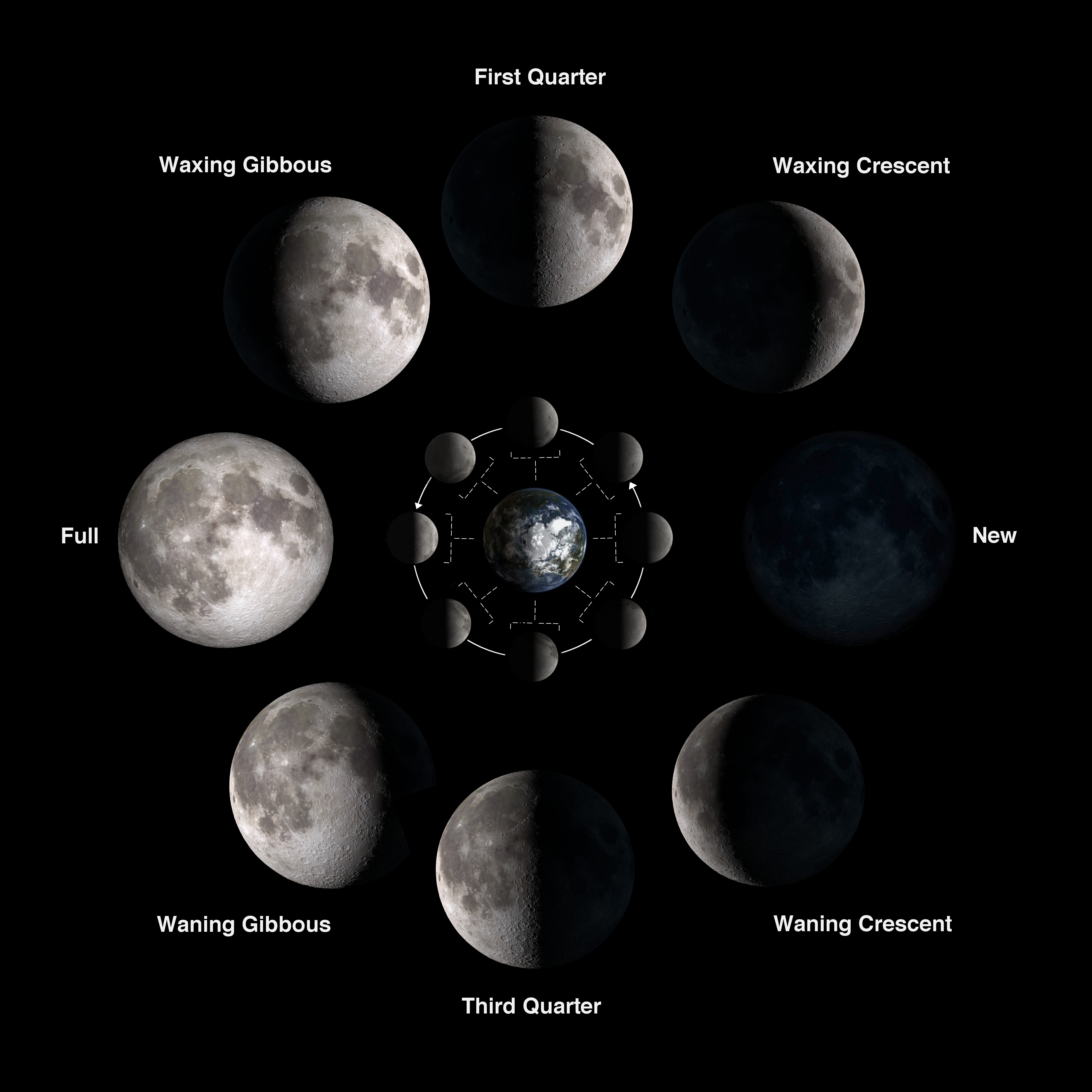 Phases of the Moon : Moon: NASA Science