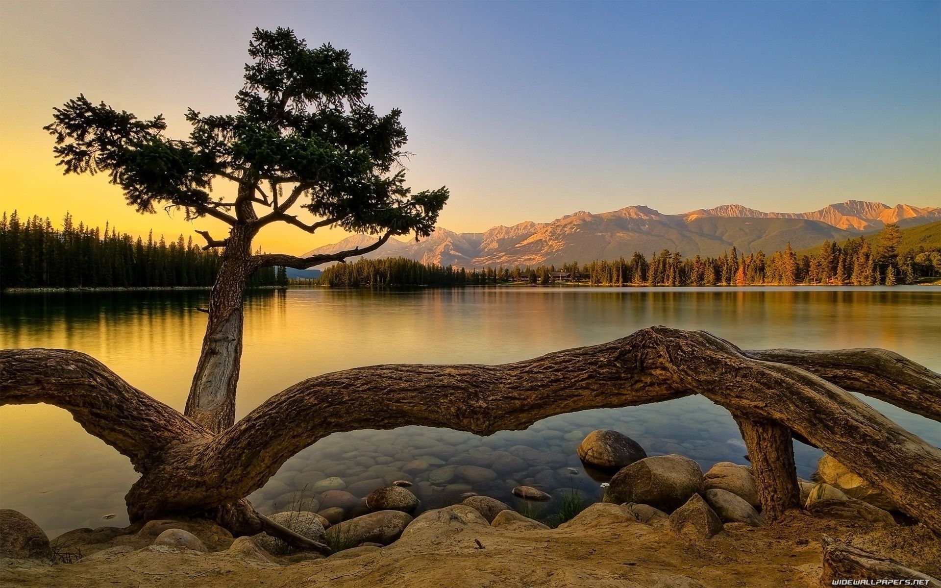 Nature background photo