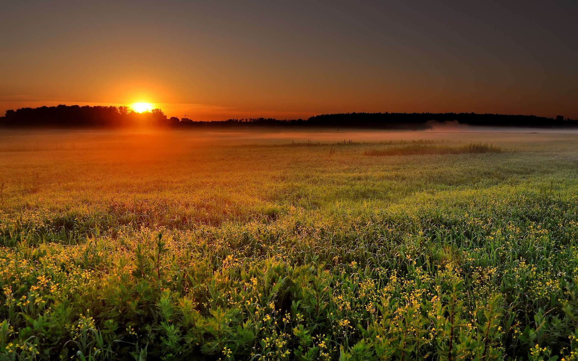 Sunset over fields photo