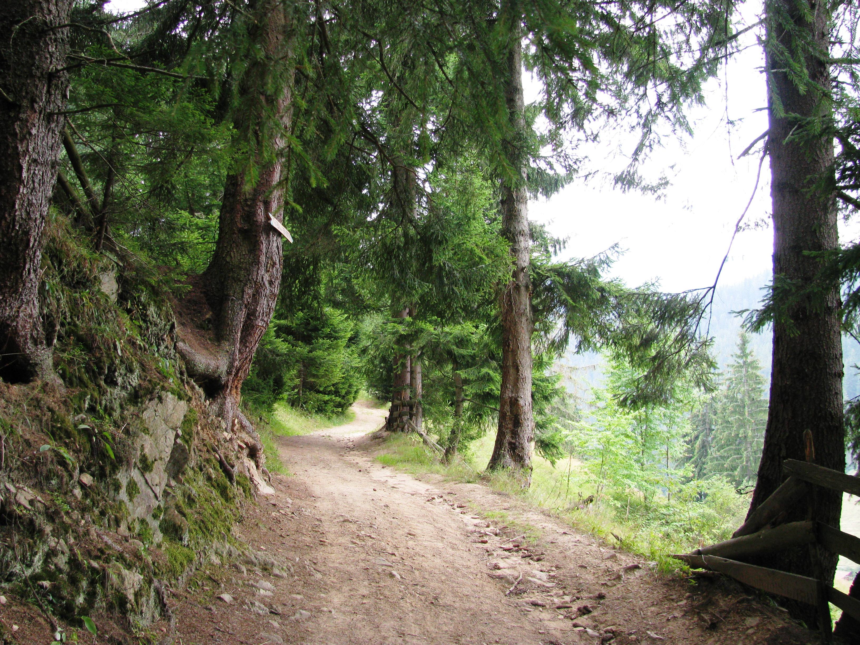 View from the central rhodopi mountain photo