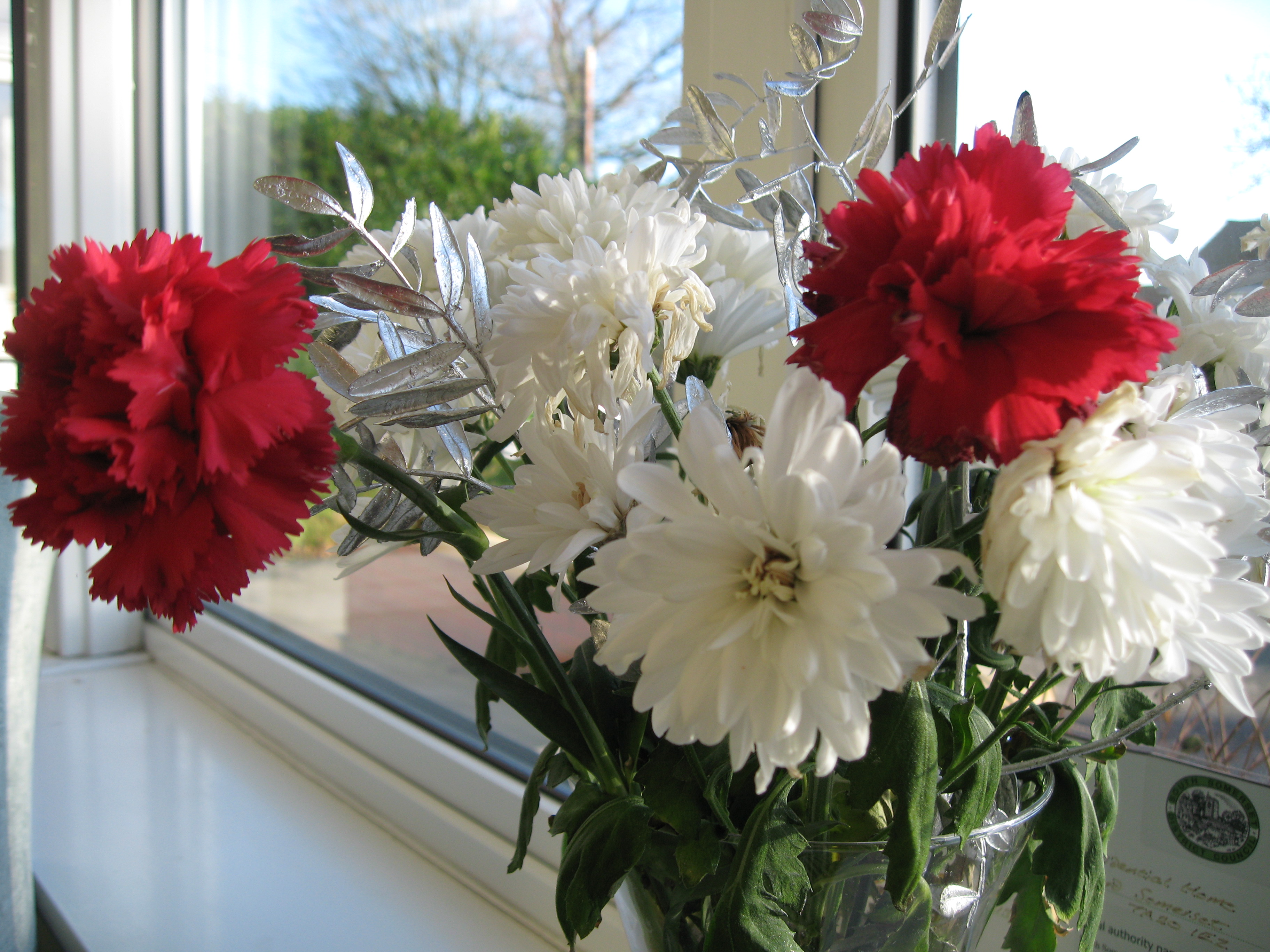 White flowers photo