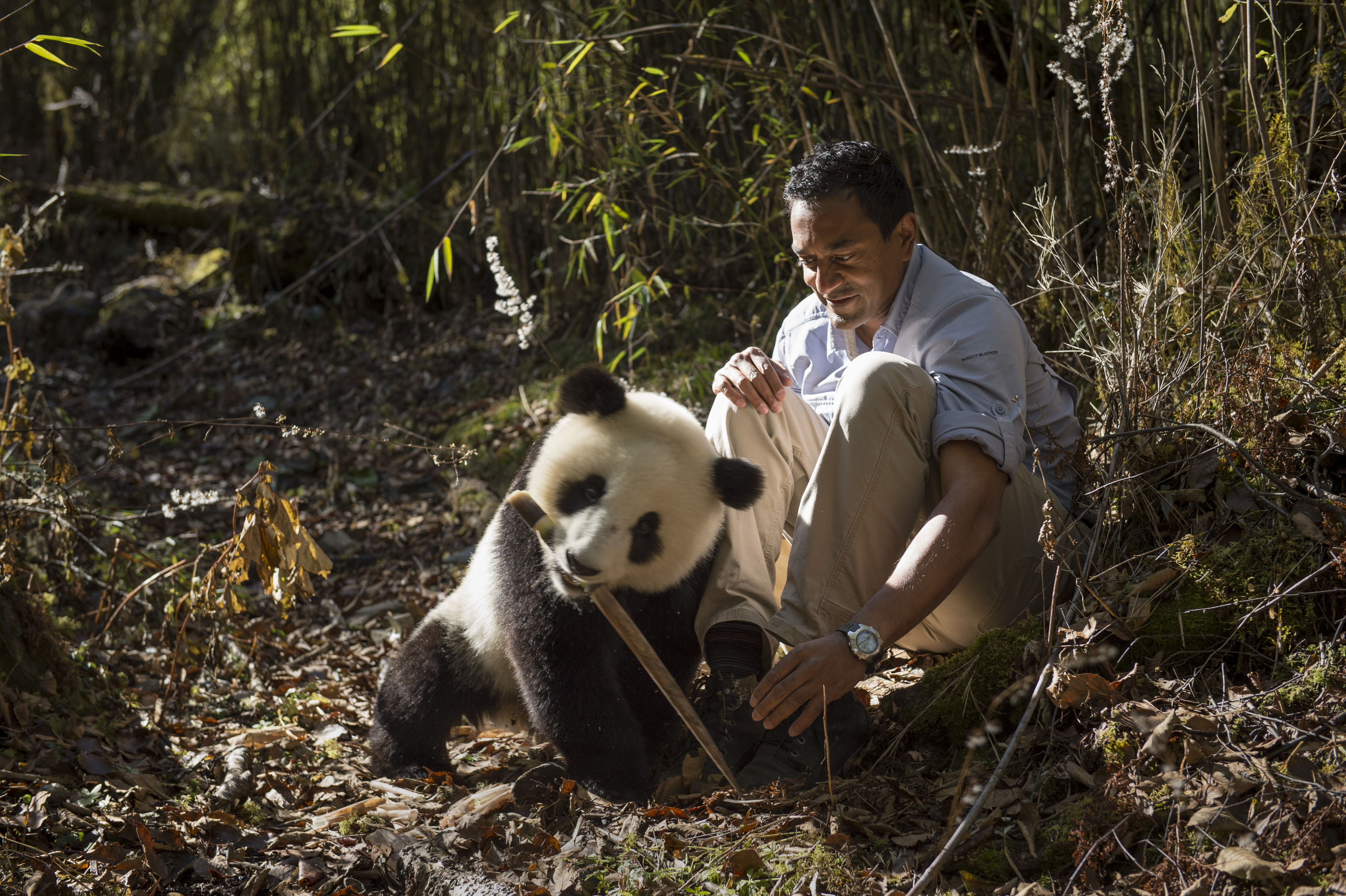 Are Humans Part of Wild Nature? Interview with M. Sanjayan - Bay Nature