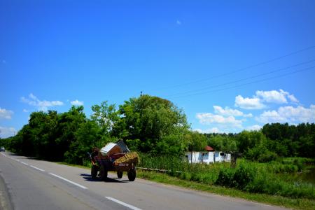 Cart