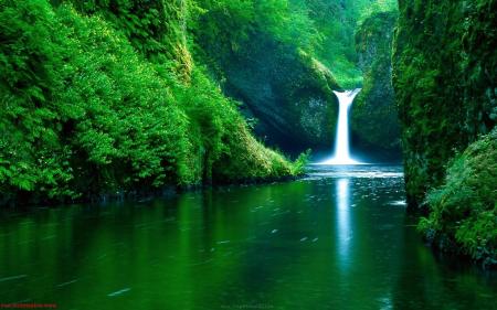 Green Nature