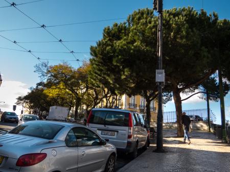 Nature in mid of traffic in Lisbon