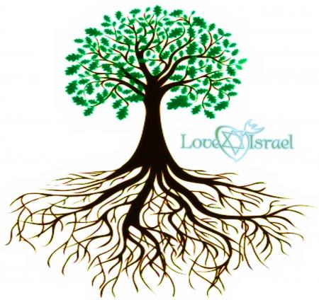 Rooted and Grounded